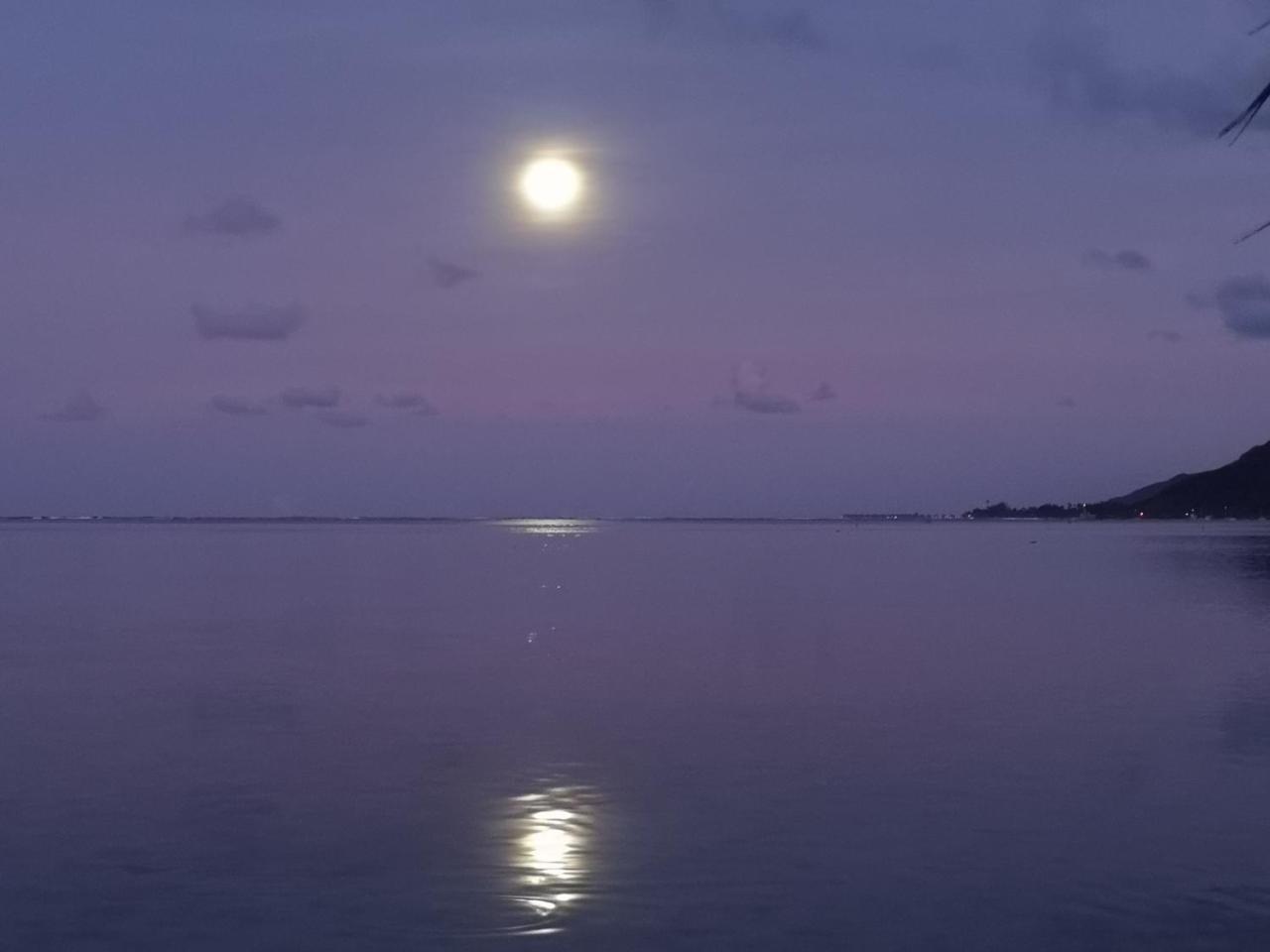 Lagoon Dream Villa Moorea Buitenkant foto